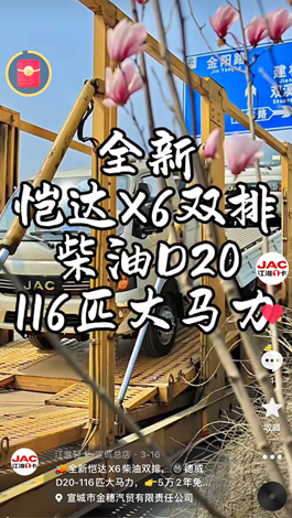 全新愷達(dá)X6柴油雙排，德威D20-116匹大馬力。